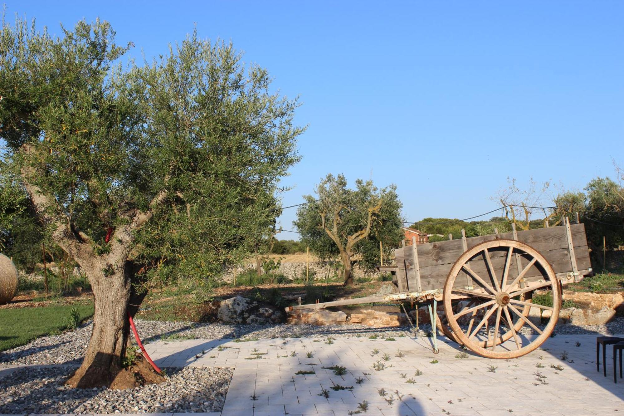 Masseria Stella Джоя дел Коле Екстериор снимка